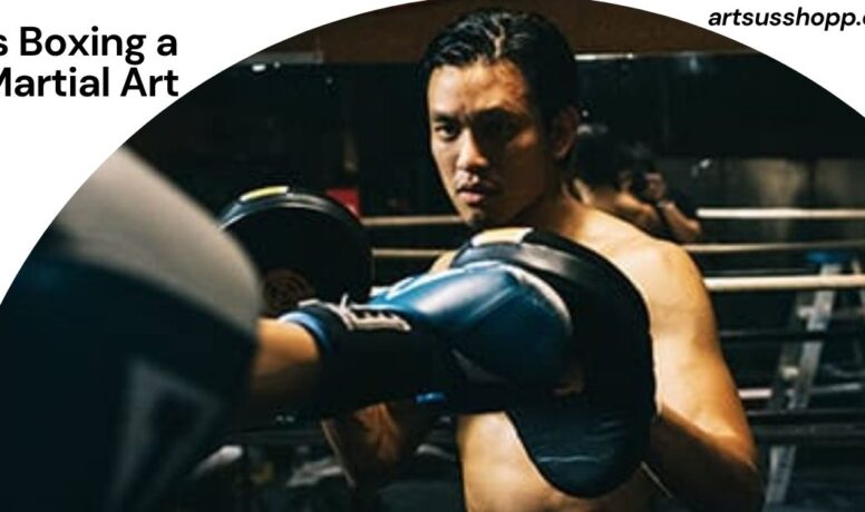 Is Boxing a Martial Art